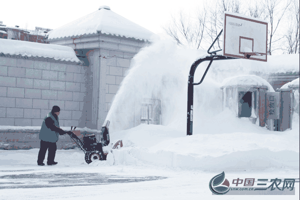 园林景观降雪解决方式有哪些？